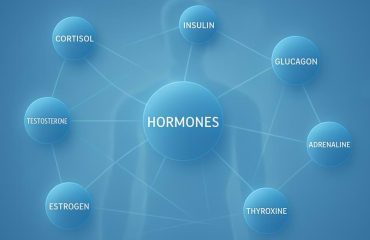 The-role-of-hormones-in-sexual نقش هورمونها در میل جنسی زنان و مردان